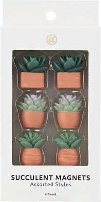 U Brands Planted Succulent Magnets Terracotta Pkg/6