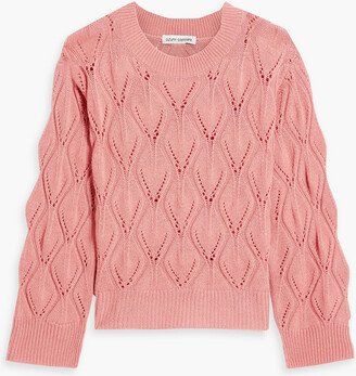 Pointelle-knit cashmere sweater-AA