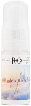 Skyline Dry Shampoo Powder, 1 oz