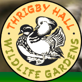 Thrigby Hall Promo Codes & Coupons