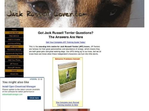 Jack-Russell-Lover.com Promo Codes & Coupons