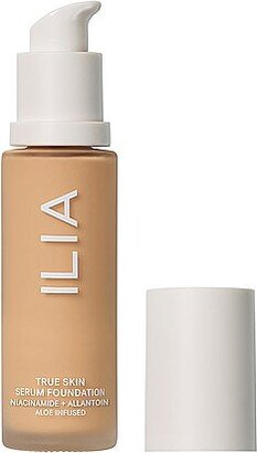 True Skin Serum Foundation in Beauty: NA-AN