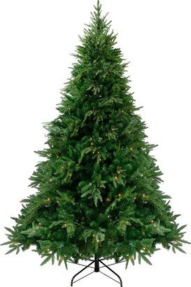 Northlight 7.5' Pre-Lit Silverthorne Fir Artificial Christmas Tree - Clear Lights