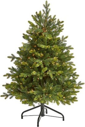 4’ North Carolina Fir Prelit LED Artificial Christmas Tree