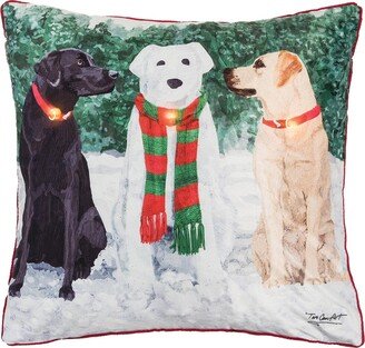 Snow Labs Light-Up Led 18 x 18 Throw Pillow