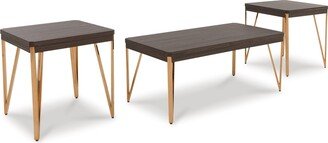 3 Piece Coffee and End Table Set-AC