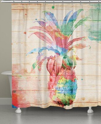 Colorful Pineapple Shower Curtain - Multi/pin