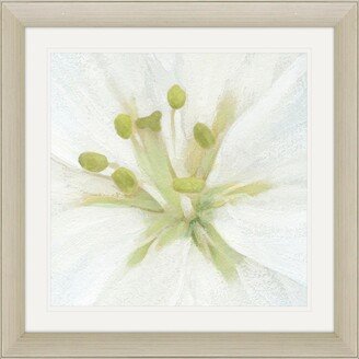 Paragon Picture Gallery Floral Fresh - Focal Framed Art