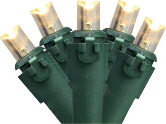 Northlight Set of 50 Warm White Led Wide Angle Christmas Lights - Green Wire