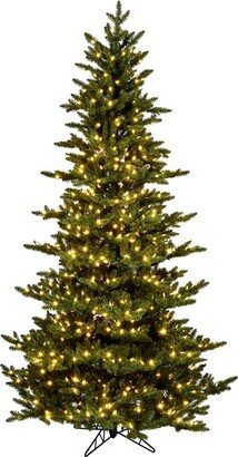 7.5' x 54 Natural Fraser Fir Artificial Christmas Tree, Warm White Dura-lit LED Lights In a 21Lx21Wx7H base.