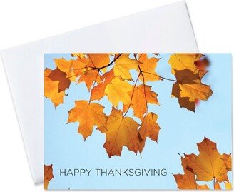 CEO Cards Thanksgiving Greeting Card Box Set of 25 Cards & 26 Envelopes - TH1507