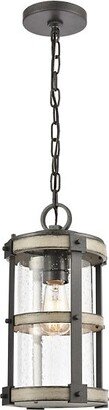 Elk Home Annenberg Outdoor Pendant Light