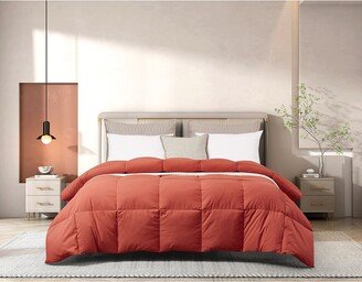 All-Season Feather & Down Comforter-AD