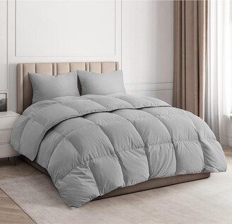 Cgk Unlimited Premium Down Alternative Comforter - Twin