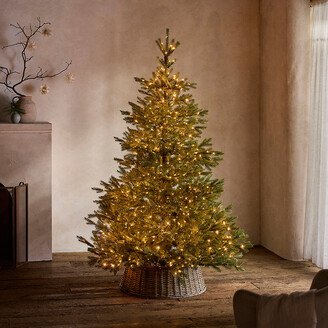 Faux Pre-Lit Fraser Fir-AA