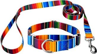 Country Brook Petz Serape Martingale Dog Collar and Leash (1 Inch, Large)