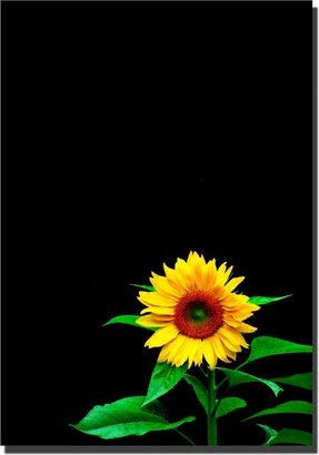 Kurt Shaffer 'Sunflower' Canvas Art - 19 x 14