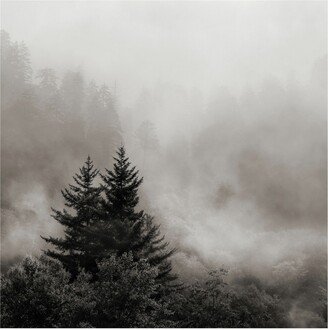 Nicholas Bel Rising Mist, Smoky Mountains Canvas Art - 15.5 x 21