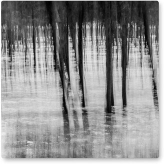 Photo Tiles: Water Reflection - Black And White Photo Tile, Metal, 8X8, Black