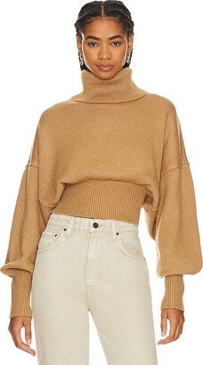 Jovany Turtleneck Sweater