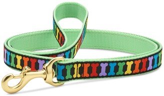 Up Country Rainbones Dog Lead