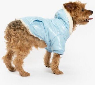 Silver Paw Dog Hooded Puffer Jacket