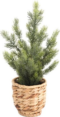 17in Fir Tree In Woven Basket