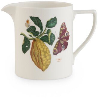 Botanic Garden Harmony 2 Pint Jug Citron