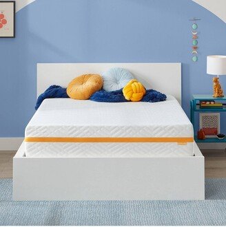 Plush 12 Memory Foam Mattress