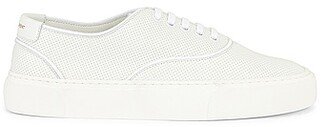 Venice Low Top Sneakers in White