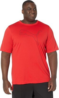 Big Tall Performance Cat Tee (High-Risk Red) Men's Clothing