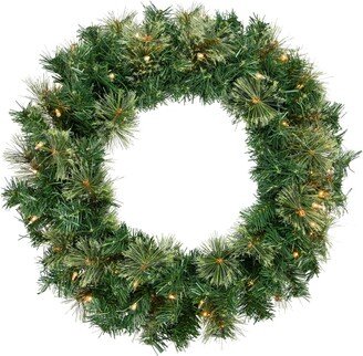 Northlight Pre- Lit Oregon Cashmere Pine Artificial Christmas Wreath With Clear Lights, 24