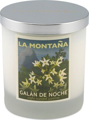 Galan de Noche Scented Candle, 8 oz.