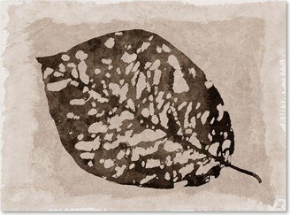 Cora Niele 'Sepia Leaf' Canvas Art - 24 x 18 x 2