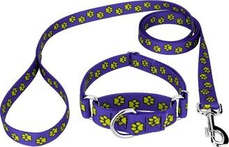 Country Brook Petz Blue Busy Paws Martingale Dog Collar and Leash Limited Edition (5/8 Inch, Small)