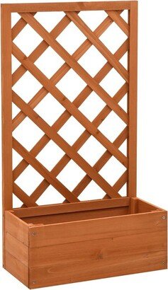 Garden Trellis Planter Orange 19.7x9.8x35.4 Solid Firwood