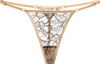 Perilla Lingerie Gigi Thongs - Blue