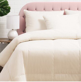 Cloud Nine Prime Feather Fiber Queen Comforter