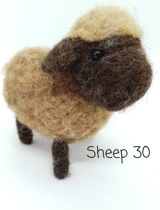 Sheep #30