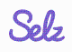 Selz Promo Codes & Coupons