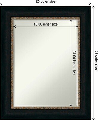 Petite Bevel Bathroom Wall Mirror - Paragon Bronze Frame - Paragon Bronze - 25 x 31 in