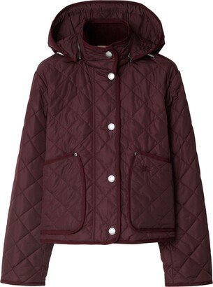 Quilted Hooded Jacket-AB