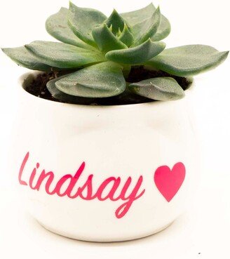 Personalized Succulent Gift. Valentines Day. Happy Birthday. Girlfriend. Best Friend. Gift Box. Care Package. Anniversary