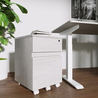 GREATPLANINC 2 Drawer Mobile Filing Cabinet With Lock And Casters, Fully Assembled Except Casters, Small Under Desk File Cabinet