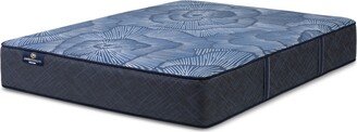 Perfect Sleeper Dazzling Night 12 Medium Hybrid Mattress, King