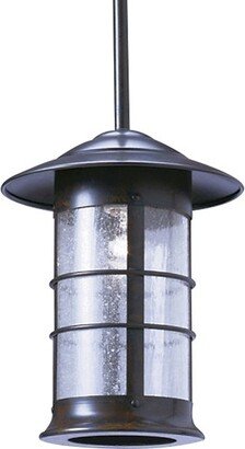 Newport 9 in. Outdoor Pendant- Wet-Rated