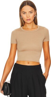 No Bra Club Cropped Top