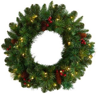 Frosted Pine Artificial Christmas Wreath with Pinecones, Berries and 35 Warm Led Lights, 20