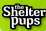 Shelter Pups Promo Codes & Coupons