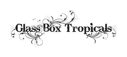 Glass Box Tropicals Promo Codes & Coupons
